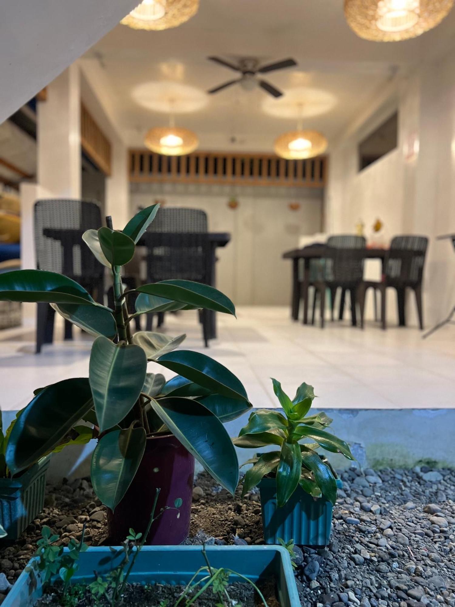 Sunny Terrace Hotel Балер Екстериор снимка