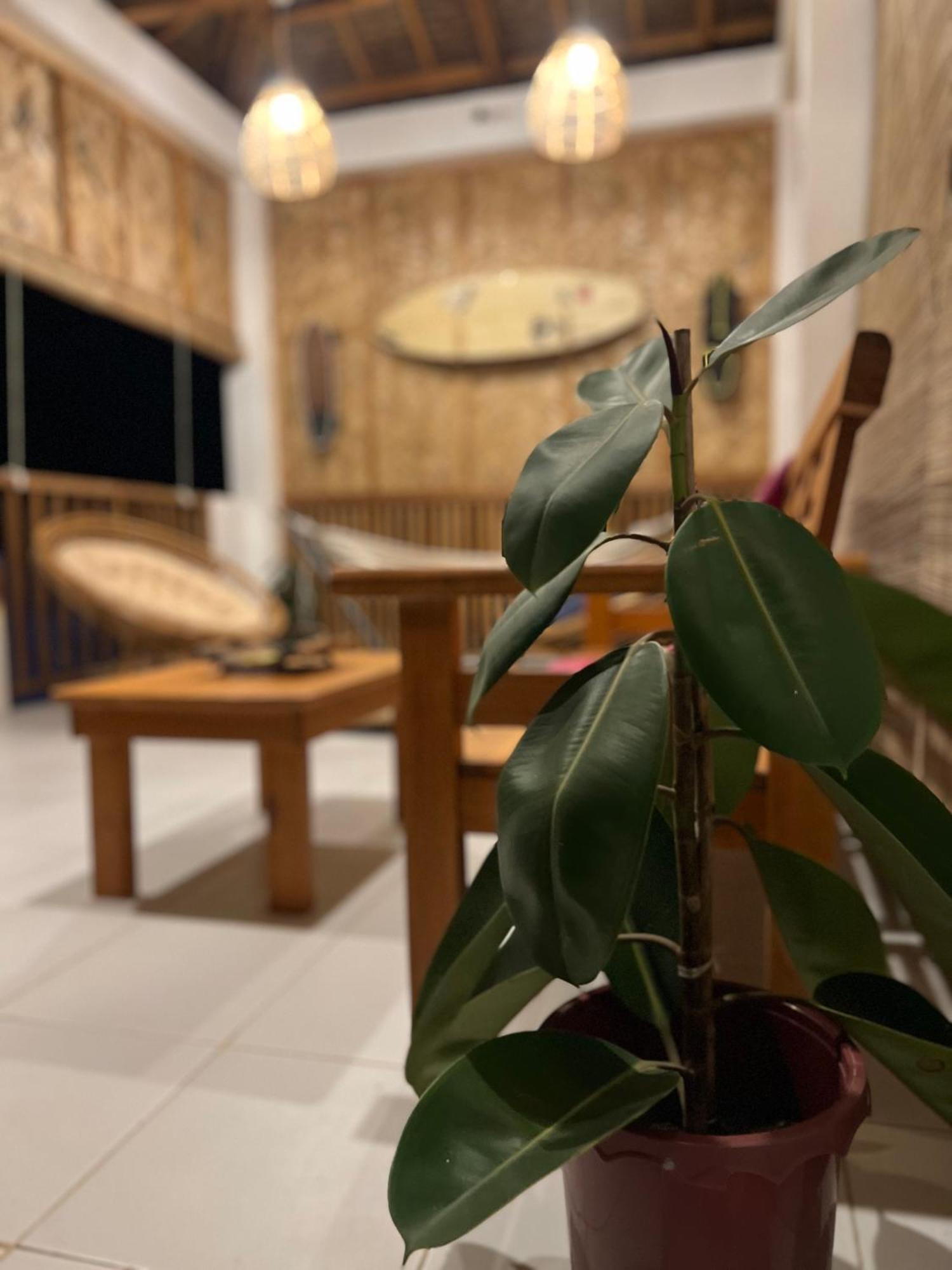 Sunny Terrace Hotel Балер Екстериор снимка